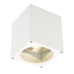 SLV Big Theo Sufit Spot Aluminium Valkoinen | Zewnętrzna - IP44 - Nadaje Się Do 1x GU10 Max. 75W - Ściemnianie