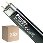 Opakowanie 25x Philips MASTER TL-D 18W - Blacklight Niebieski | 60cm